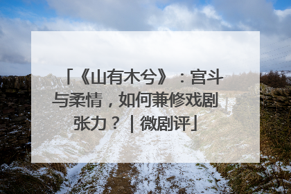 《山有木兮》：宫斗与柔情，如何兼修戏剧张力？｜微剧评
