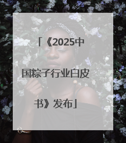 《2025中国粽子行业白皮书》发布