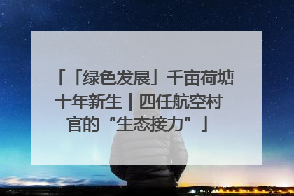 「绿色发展」千亩荷塘 十年新生｜四任航空村官的“生态接力”