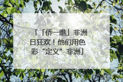 「侨一瞧」非洲日狂欢！他们用色彩“定义”非洲