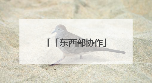 「东西部协作」赖良才：深耕苗岭四载 用教育之光点亮大山未来