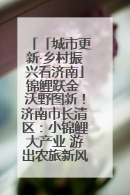 「城市更新·乡村振兴看济南」锦鲤跃金 沃野图新！济南市长清区：小锦鲤大产业 游出农旅新风景