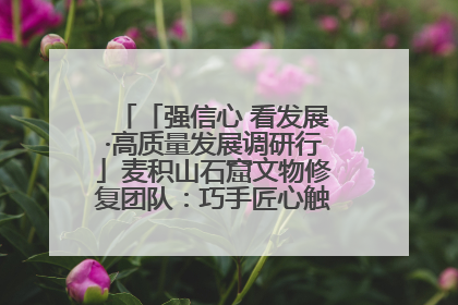 「强信心 看发展·高质量发展调研行」麦积山石窟文物修复团队：巧手匠心触摸“光阴的故事”
