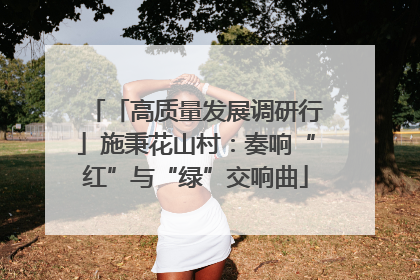 「高质量发展调研行」施秉花山村：奏响“红”与“绿”交响曲