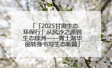 「2025甘肃生态环保行」从风沙之源到生态绿洲——青土湖华丽转身书写生态新篇