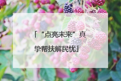 “点亮未来”真挚帮扶解民忧