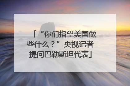 “你们指望美国做些什么？”央视记者提问巴勒斯坦代表
