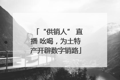 “供销人” 直播 吆喝，为土特产开辟数字销路