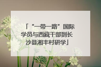 “一带一路”国际学员与西藏干部到长沙县湘丰村研学