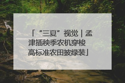 “三夏”视觉｜孟津插秧季农机穿梭 高标准农田披绿装