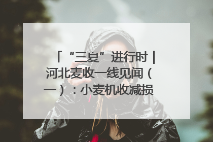 “三夏”进行时｜河北麦收一线见闻（一）：小麦机收减损“竞技” 农机高手麦田“过招”