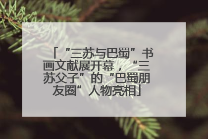 “三苏与巴蜀”书画文献展开幕，“三苏父子”的“巴蜀朋友圈”人物亮相