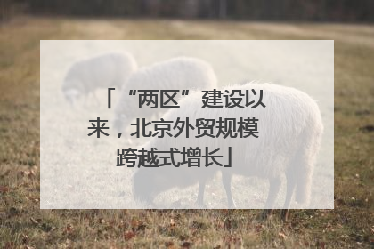 “两区”建设以来，北京外贸规模跨越式增长