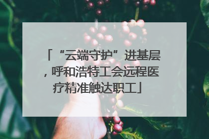 “云端守护”进基层，呼和浩特工会远程医疗精准触达职工