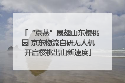 “京燕”展翅山东樱桃园 京东物流自研无人机开启樱桃出山新速度