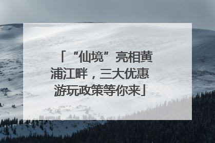 “仙境”亮相黄浦江畔，三大优惠游玩政策等你来