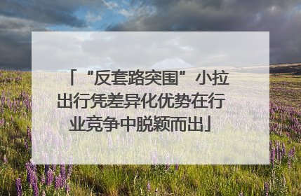 “反套路突围”小拉出行凭差异化优势在行业竞争中脱颖而出