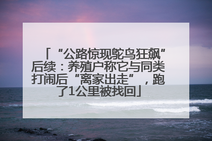 “公路惊现鸵鸟狂飙”后续：养殖户称它与同类打闹后“离家出走”，跑了1公里被找回