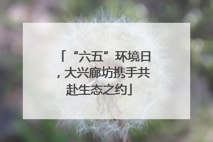 “六五”环境日，大兴廊坊携手共赴生态之约