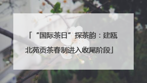 “国际茶日”探茶韵：建瓯北苑贡茶春制进入收尾阶段