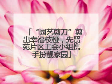 “园艺剪刀”剪出幸福枝桠，先贤苑片区工会小组携手扮靓家园
