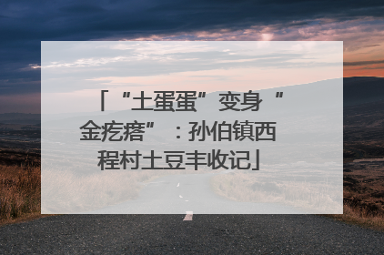 “土蛋蛋”变身“金疙瘩”：孙伯镇西程村土豆丰收记