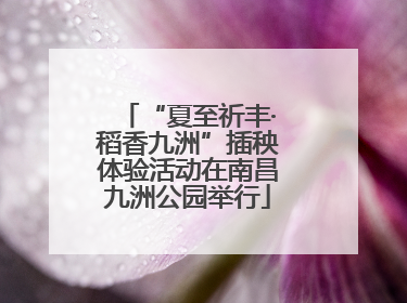 “夏至祈丰·稻香九洲”插秧体验活动在南昌九洲公园举行