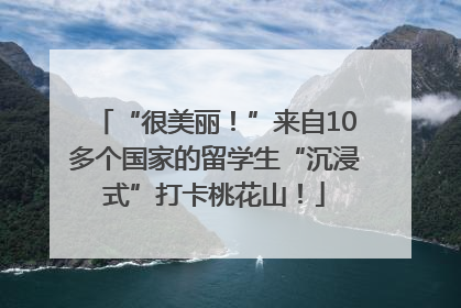 “很美丽！”来自10多个国家的留学生“沉浸式”打卡桃花山！