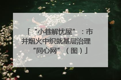 “小巷解忧屋”：市井烟火中织就基层治理“同心网”（图）