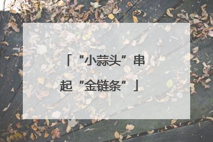 “小蒜头”串起“金链条”