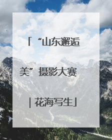 “山东邂逅美”摄影大赛｜花海写生