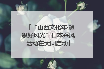 “山西文化年·超级好风光”日本采风活动在大同启动