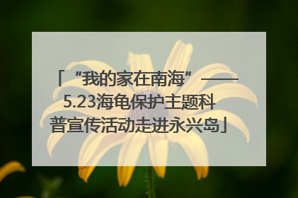 “我的家在南海”——5.23海龟保护主题科普宣传活动走进永兴岛