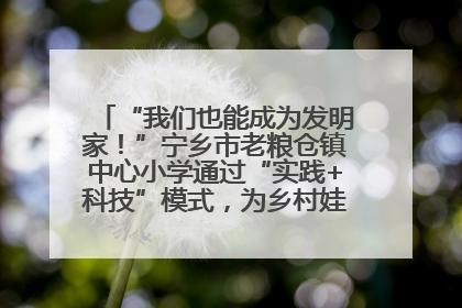 “我们也能成为发明家！”宁乡市老粮仓镇中心小学通过“实践+科技”模式，为乡村娃探索教育新路径