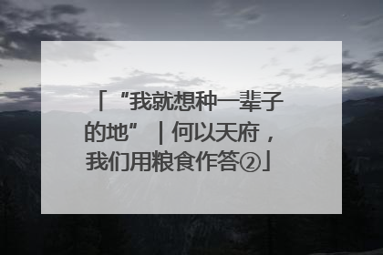 “我就想种一辈子的地”｜何以天府，我们用粮食作答②