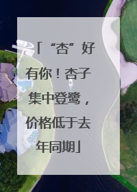 “杏”好有你！杏子集中登鹭，价格低于去年同期