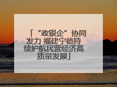 “政银企”协同发力 福建宁德持续护航民营经济高质量发展