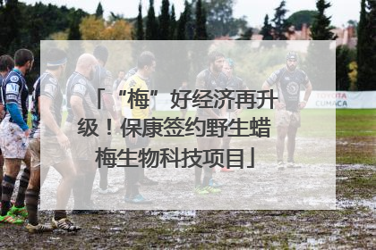 “梅”好经济再升级！保康签约野生蜡梅生物科技项目