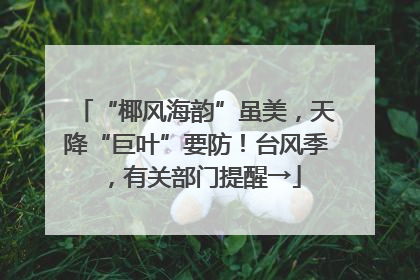 “椰风海韵”虽美，天降“巨叶”要防！台风季，有关部门提醒→