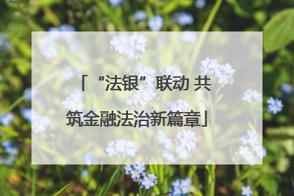 “法银”联动 共筑金融法治新篇章