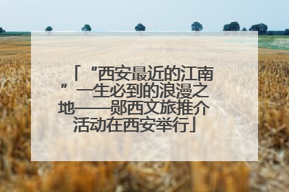 “西安最近的江南”一生必到的浪漫之地——郧西文旅推介活动在西安举行