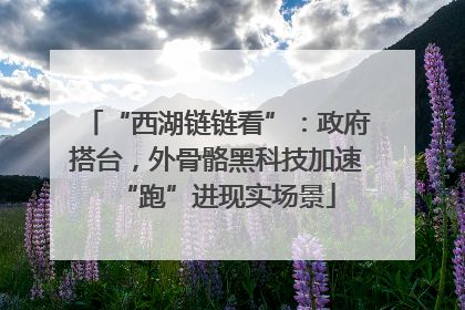 “西湖链链看”：政府搭台，外骨骼黑科技加速“跑”进现实场景