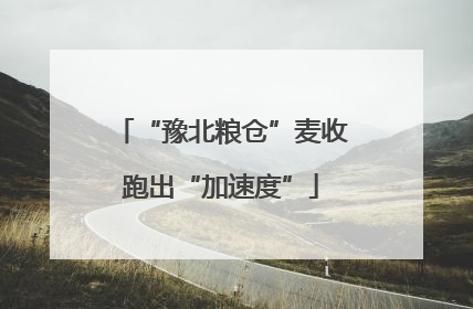 “豫北粮仓”麦收跑出“加速度”