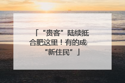 “贵客”陆续抵合肥这里！有的成“新住民”