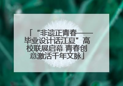 “非遗正青春——毕业设计话江夏”高校联展启幕 青春创意激活千年文脉