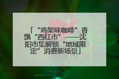 “鸡架味咖啡”香飘“西红市”——沈阳市集解锁“地域限定”消费新场景