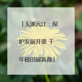 玉溪元江：保护发展并重 千年梯田展新颜