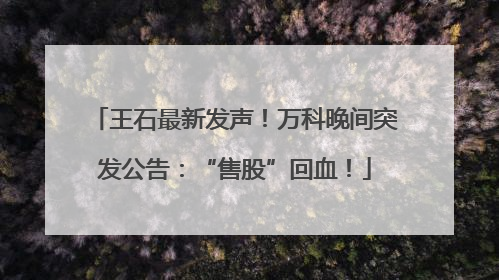 王石最新发声！万科晚间突发公告：“售股”回血！