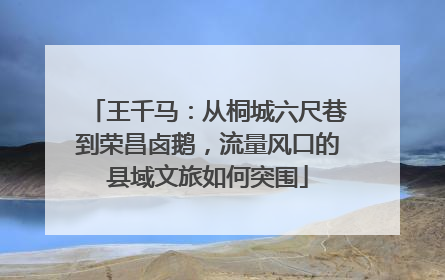 王千马：从桐城六尺巷到荣昌卤鹅，流量风口的县域文旅如何突围
