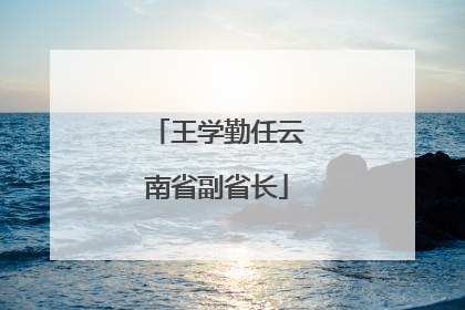王学勤任云南省副省长